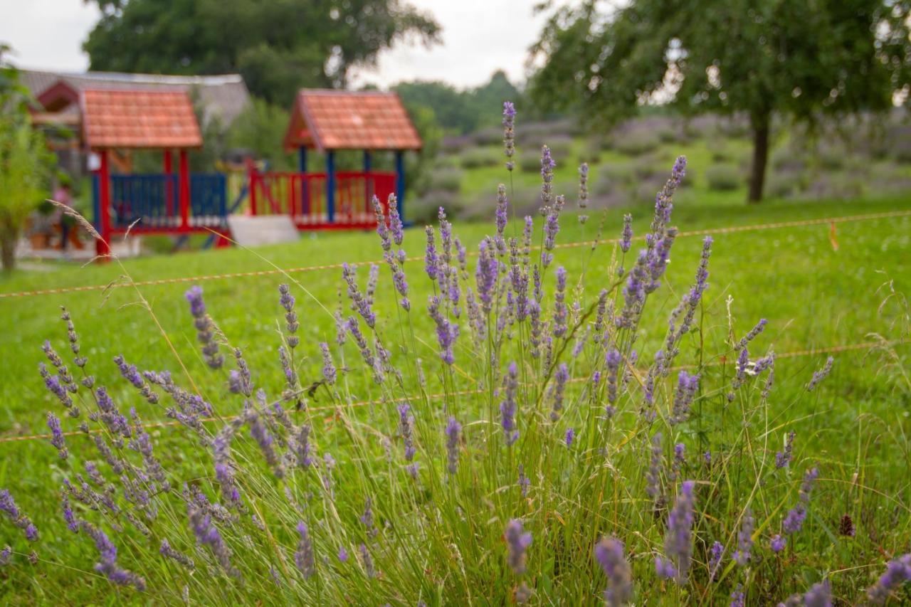 Lavanda Farm Apartmani Rakovica Eksteriør billede