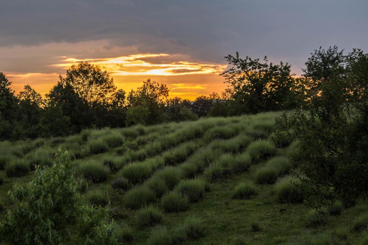 Lavanda Farm Apartmani Rakovica Eksteriør billede