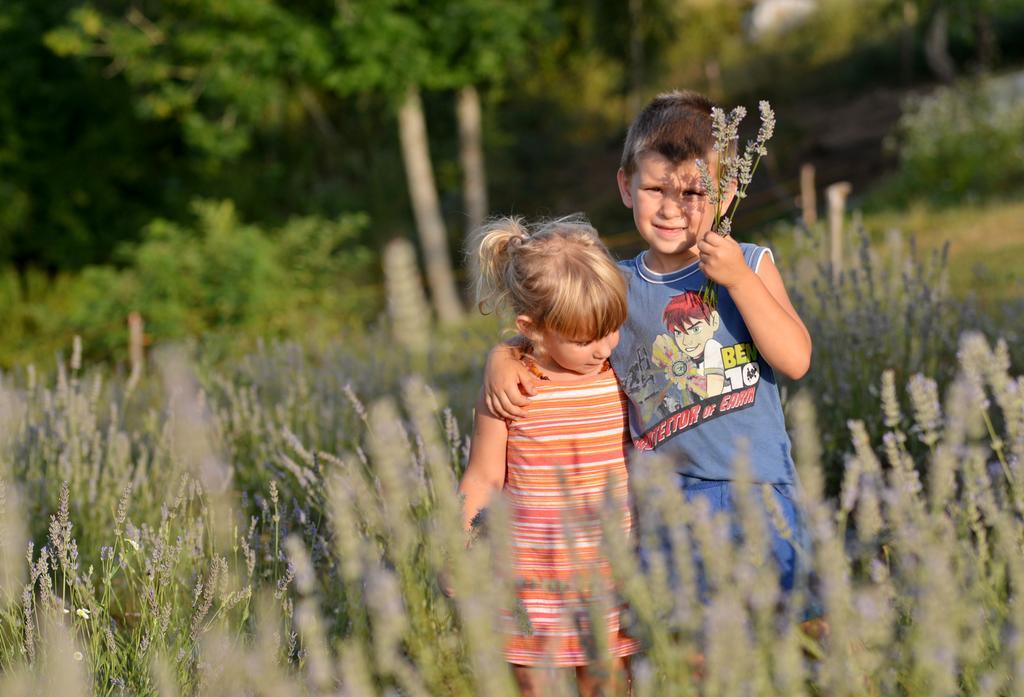 Lavanda Farm Apartmani Rakovica Eksteriør billede