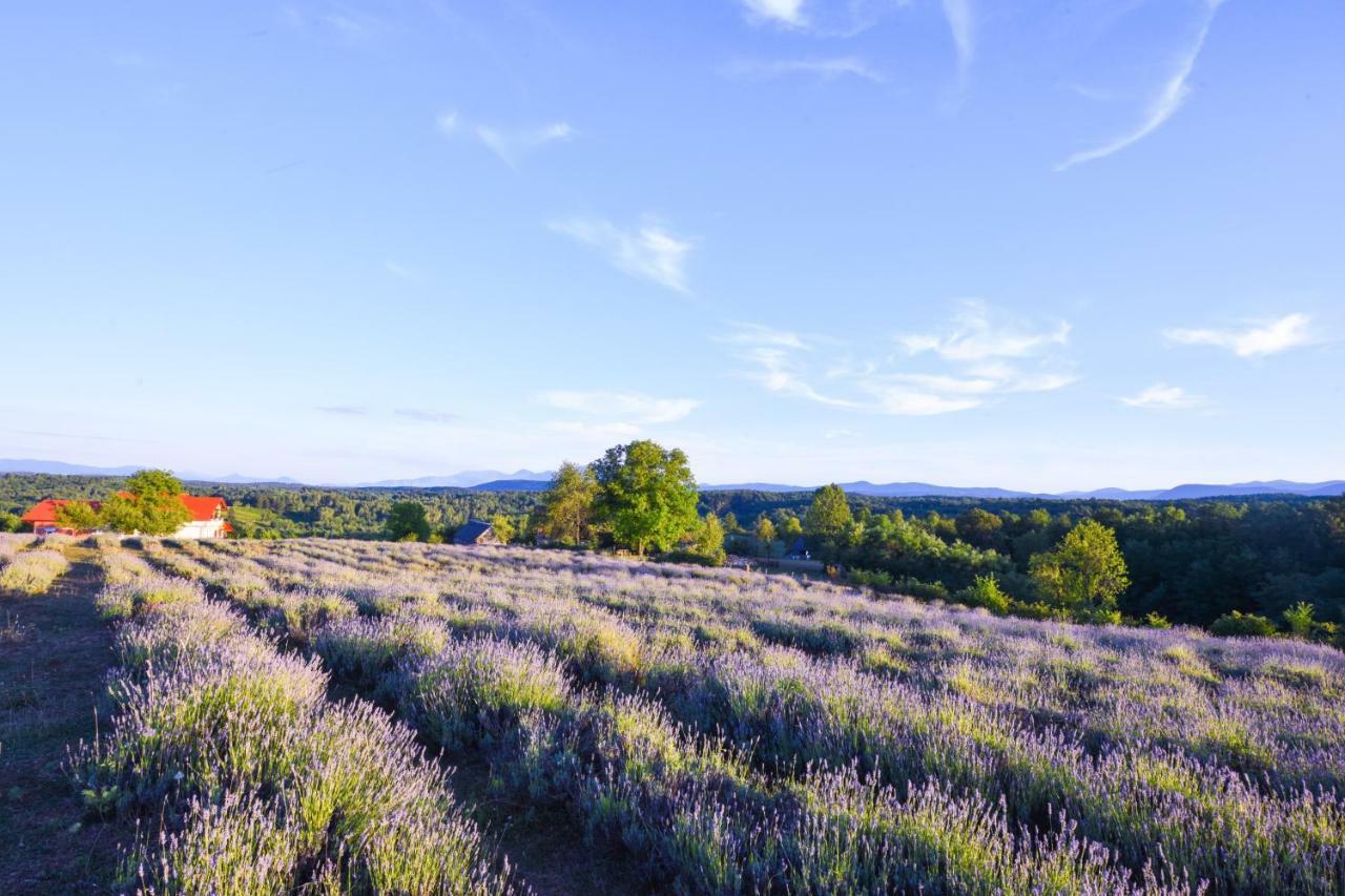 Lavanda Farm Apartmani Rakovica Eksteriør billede