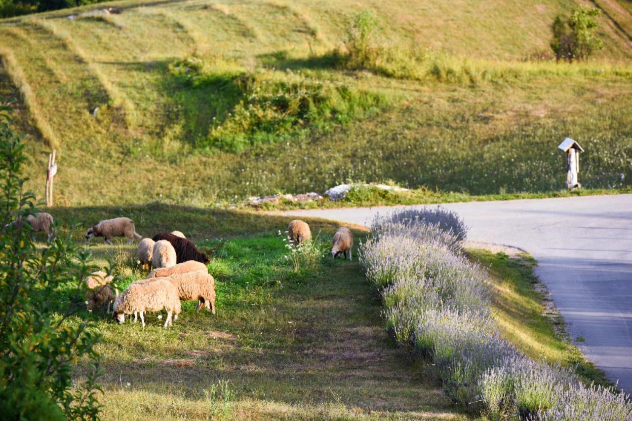 Lavanda Farm Apartmani Rakovica Eksteriør billede