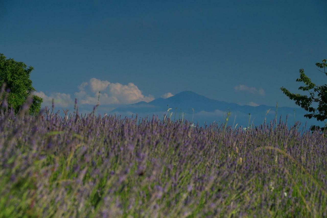 Lavanda Farm Apartmani Rakovica Eksteriør billede