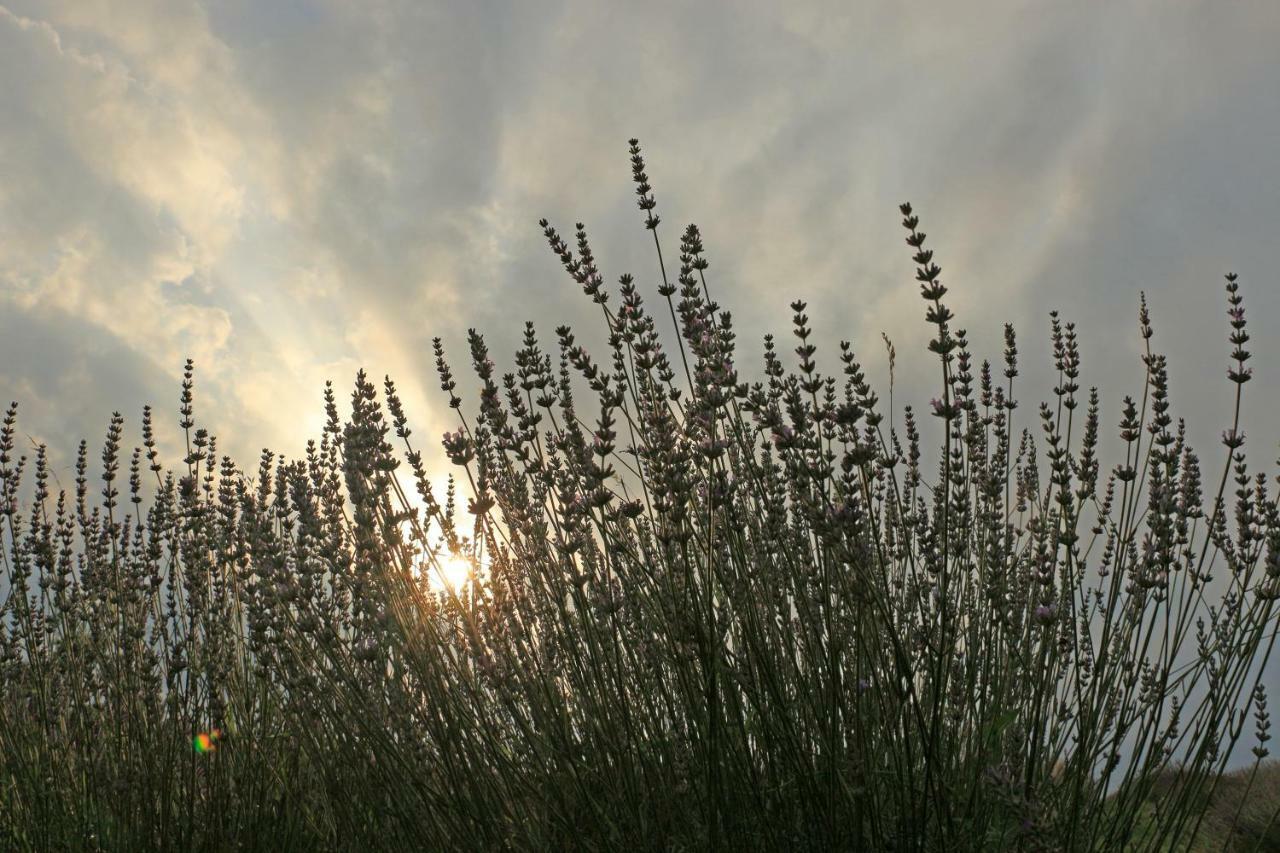 Lavanda Farm Apartmani Rakovica Eksteriør billede