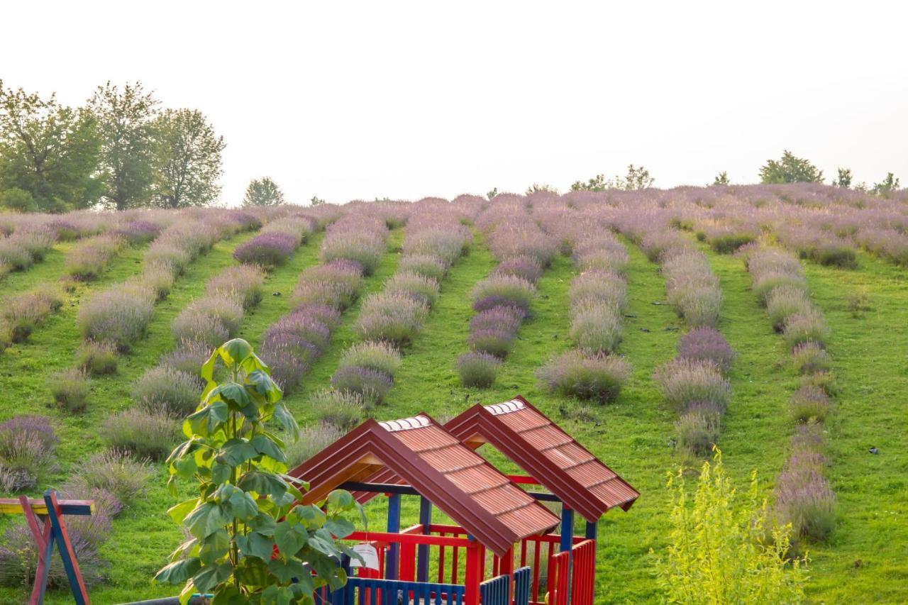 Lavanda Farm Apartmani Rakovica Eksteriør billede